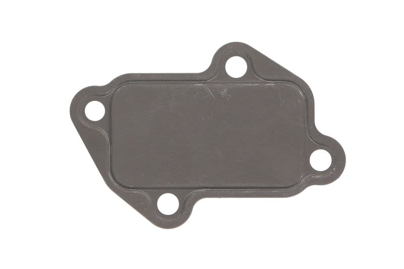 Uszczelka bloku silnika ELRING 926.960