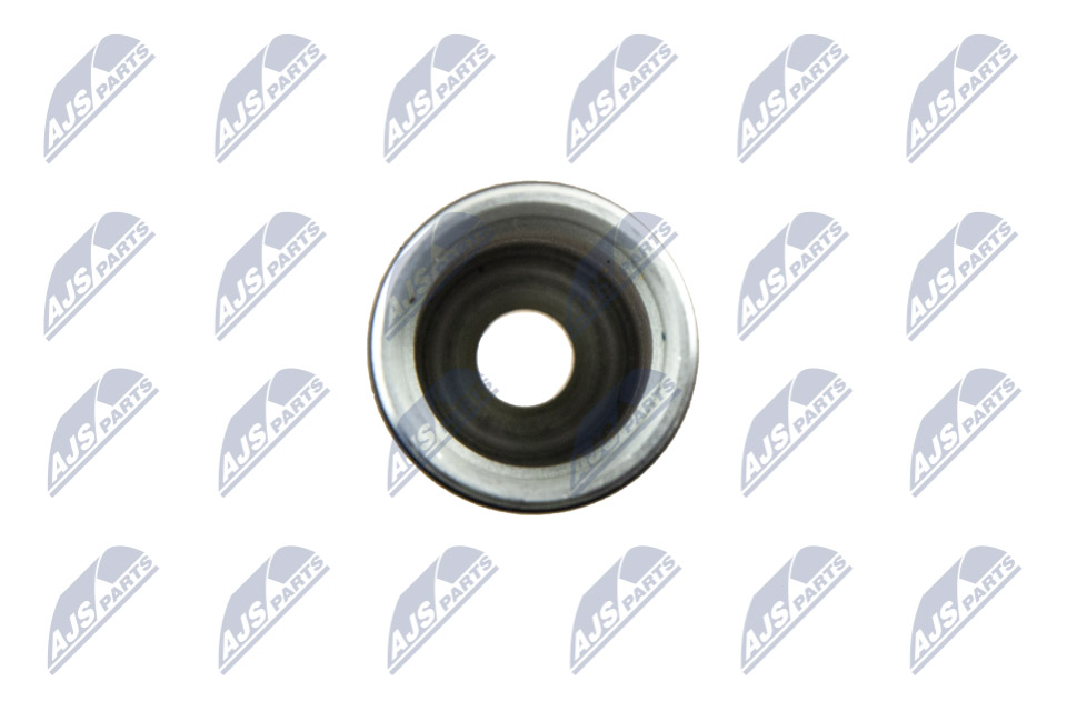 Wtryskiwacz NTY BWP-PL-000