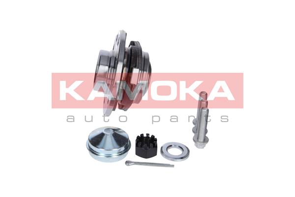 Zestaw łożysk koła KAMOKA 5500060