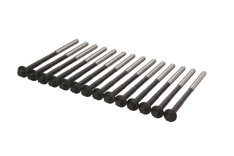 Zestaw śrub głowicy cylindrów VICTOR REINZ 14-32365-01