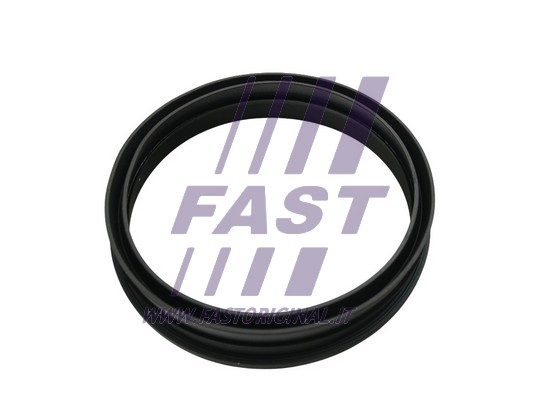 Uszczelka kosza pompy paliwa FAST FT48501