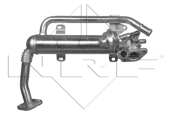 Moduł AGR NRF 48306