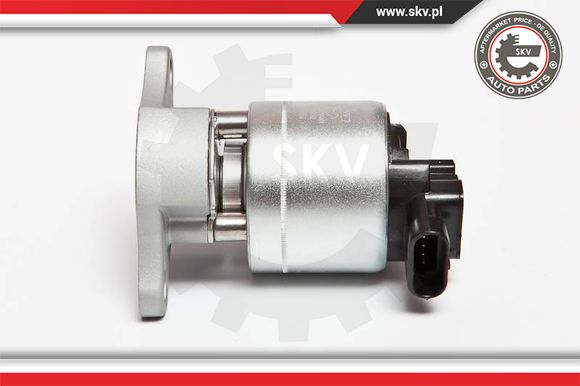 Zawór EGR ESEN SKV 14SKV042