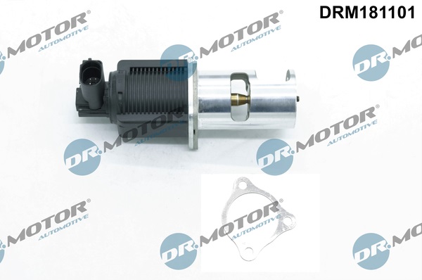 Zawór EGR DR.MOTOR AUTOMOTIVE DRM181101