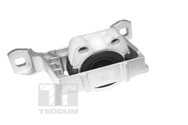 Poduszka silnika TEDGUM TED12824