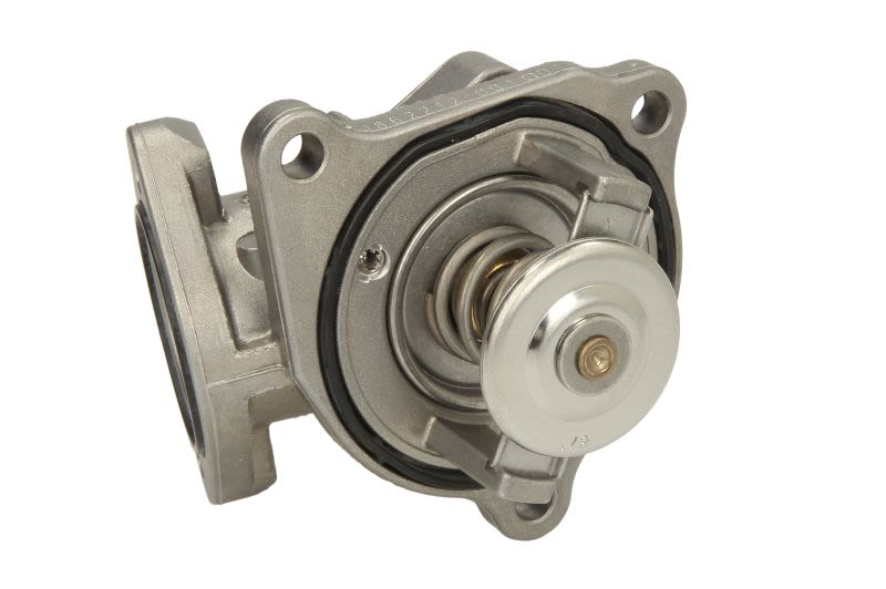 Termostat WAHLER 410055.87D