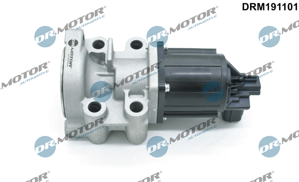 Zawór EGR DR.MOTOR AUTOMOTIVE DRM191101