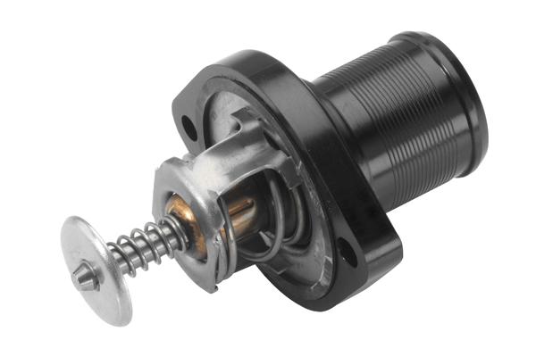 Termostat WAHLER 3483.89D