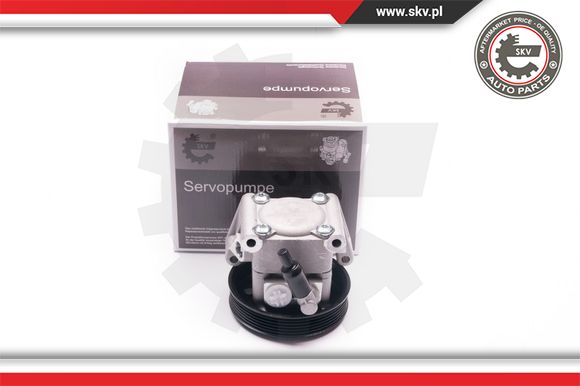 Pompa wspomagania ESEN SKV 10SKV219