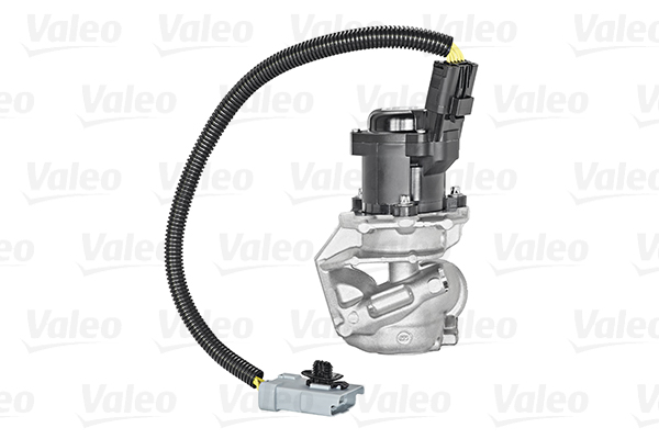 Zawór EGR VALEO 700409