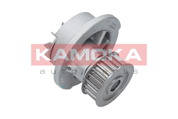 Pompa wody KAMOKA T0232