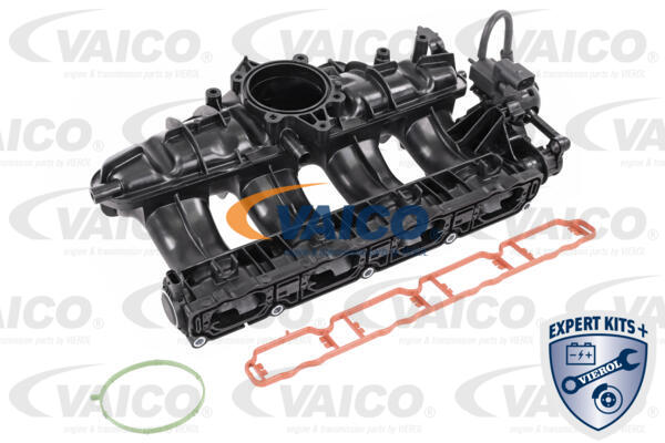 VAICO V10-6770