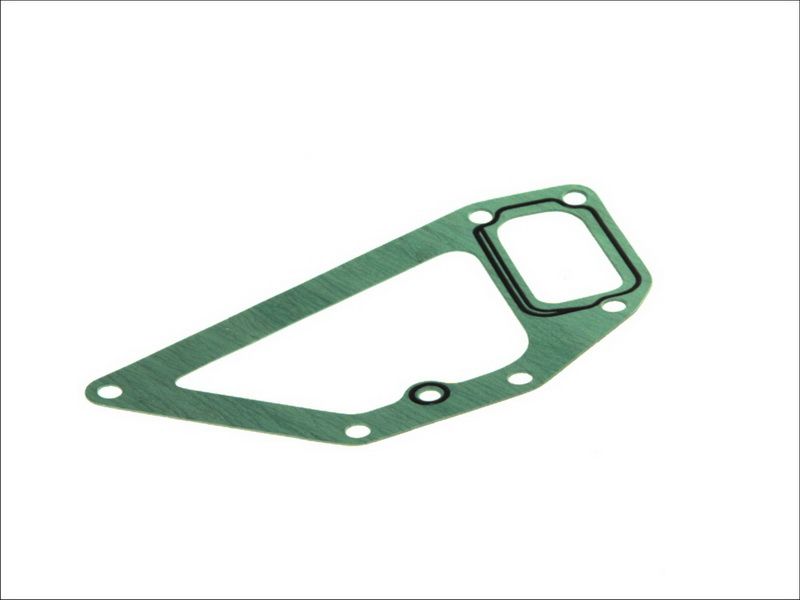 Uszczelka pompy wody DT SPARE PARTS 5.41048