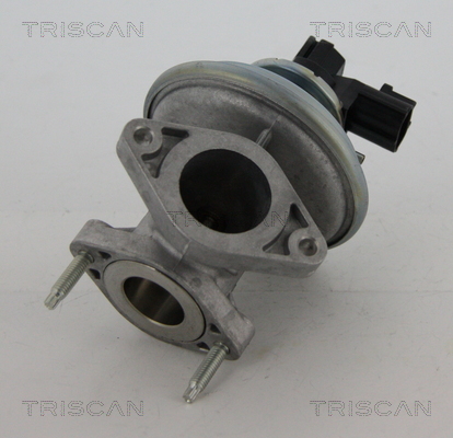 Zawór EGR TRISCAN 8813 16045