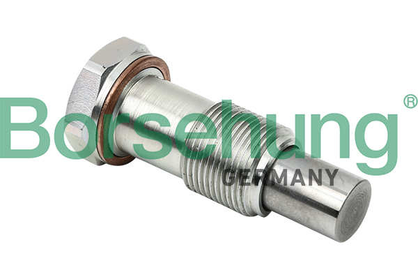 Napinacz łańcucha rozrządu BORSEHUNG B1T014