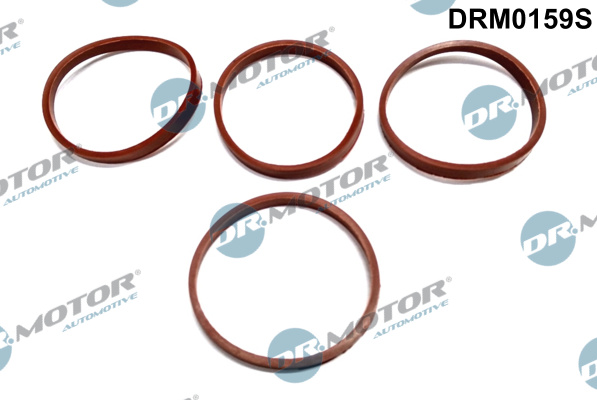 Zestaw uszczelek kolektora ssącego DR.MOTOR AUTOMOTIVE DRM0159S