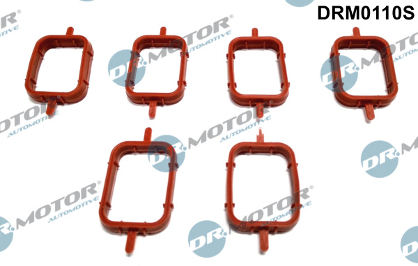 Zestaw uszczelek kolektora ssącego DR.MOTOR AUTOMOTIVE DRM0110S