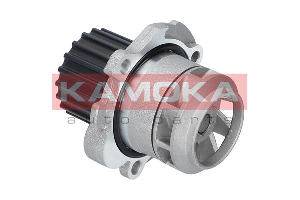 Pompa wody KAMOKA T0251