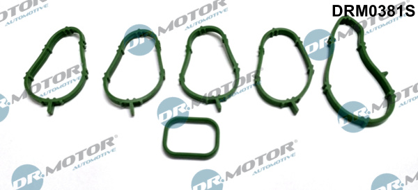 Zestaw uszczelek kolektora ssącego DR.MOTOR AUTOMOTIVE DRM0381S