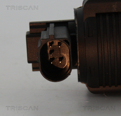 Zawór EGR TRISCAN 8813 25038