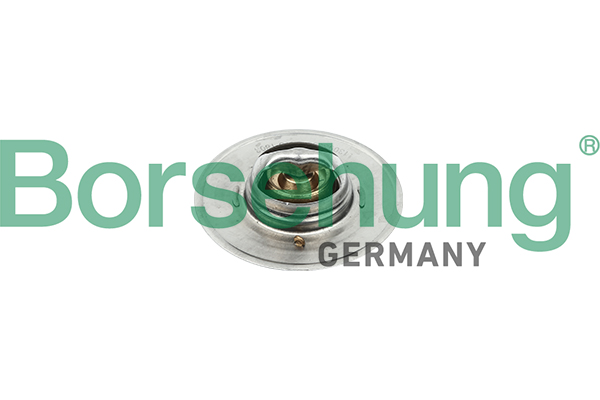 Termostat BORSEHUNG B18247