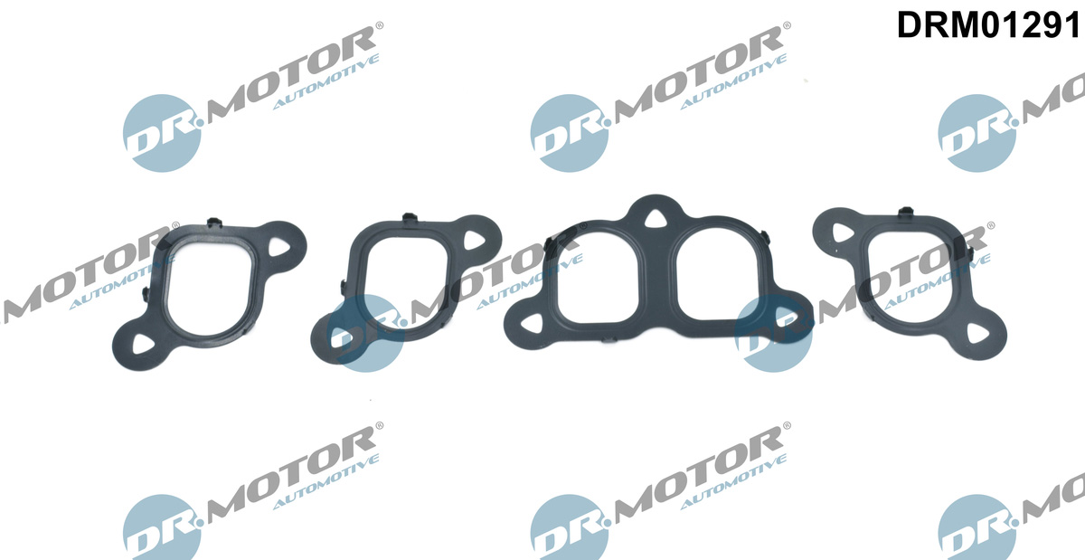 Zestaw uszczelek kolektora ssącego DR.MOTOR AUTOMOTIVE DRM01291