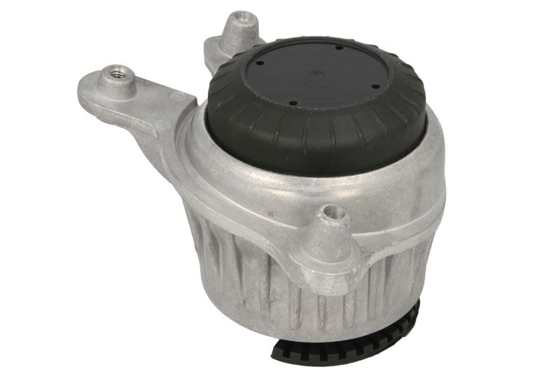 Poduszka silnika REINHOCH RH11-3100