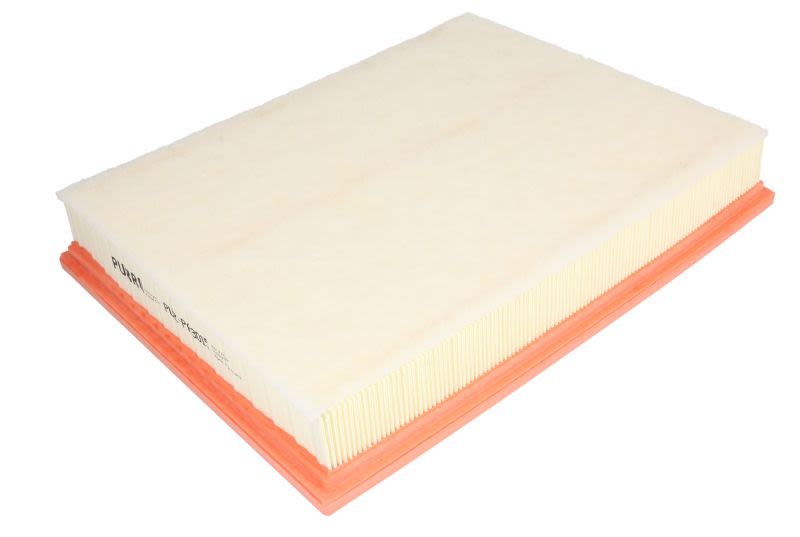 Filtr powietrza PURRO PUR-PA3015