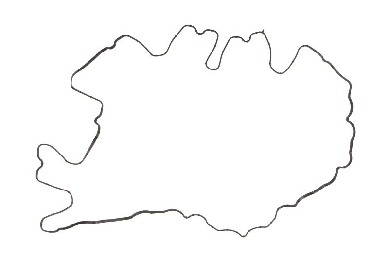 Uszczelka pokrywy zaworów VICTOR REINZ 71-38971-00