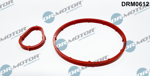 Zestaw uszczelnień, pompa podciśnieniowa DR.MOTOR AUTOMOTIVE DRM0612