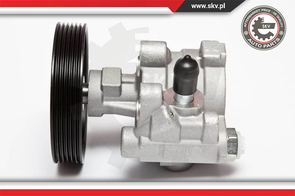 Pompa wspomagania ESEN SKV 10SKV068