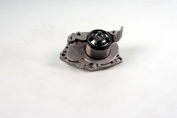 Pompa wody HEPU P955S