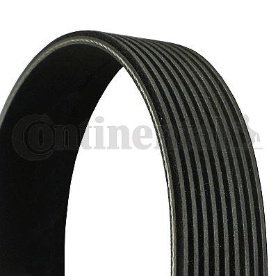 Pasek klinowy wielorowkowy CONTINENTAL CTAM 9PK2325
