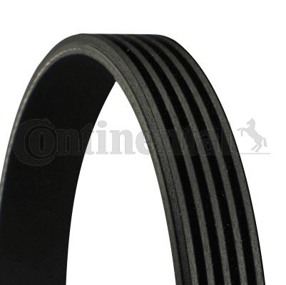 Pasek klinowy wielorowkowy CONTINENTAL CTAM 5PK1840