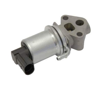 Zawór EGR MAGNETI MARELLI 571822112020