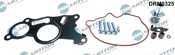 Zestaw naprawczy pompy podciśnienia DR.MOTOR AUTOMOTIVE DRM0325