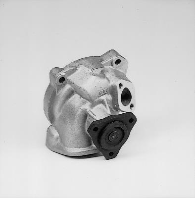 Pompa wody HEPU P531