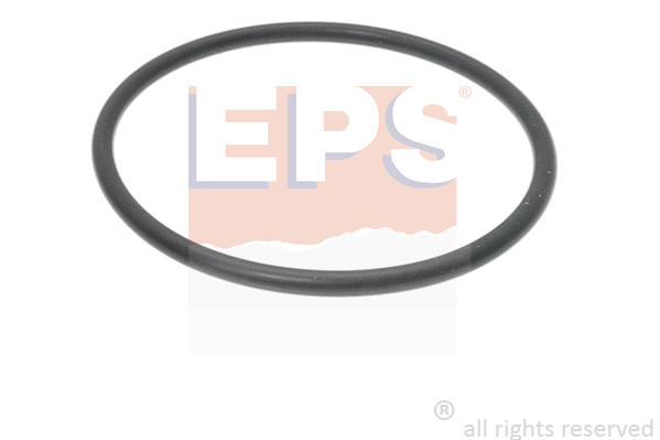 Uszczelka termostatu EPS 1.890.742