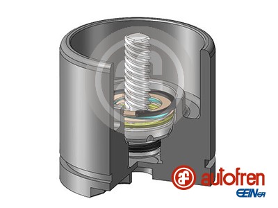 Tłoczek zacisku hamulcowego AUTOFREN SEINSA D025256LK