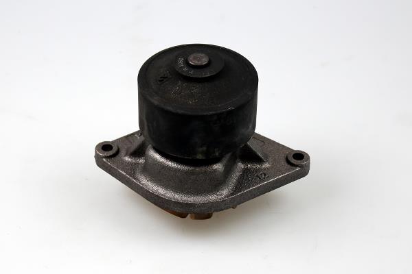 Pompa wody HEPU P1190
