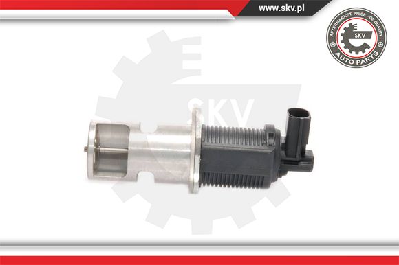 Zawór EGR ESEN SKV 14SKV009
