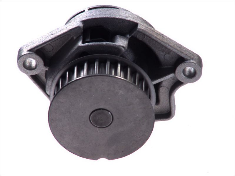Pompa wody MAGNETI MARELLI 352316171175