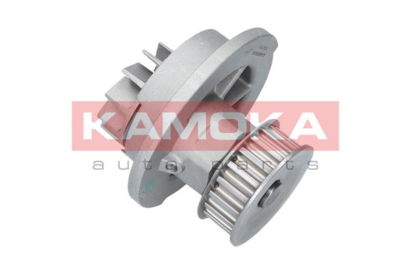 Pompa wody KAMOKA T0070