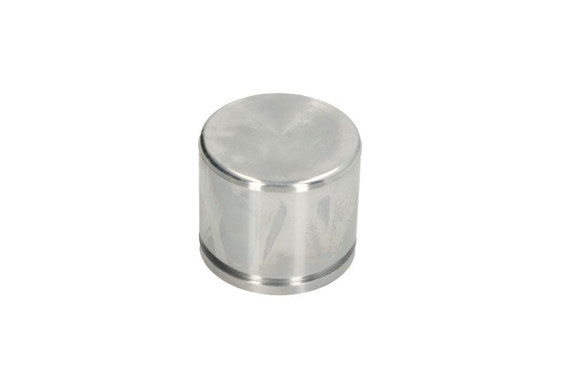 Tłoczek zacisku hamulcowego AUTOFREN SEINSA D025709