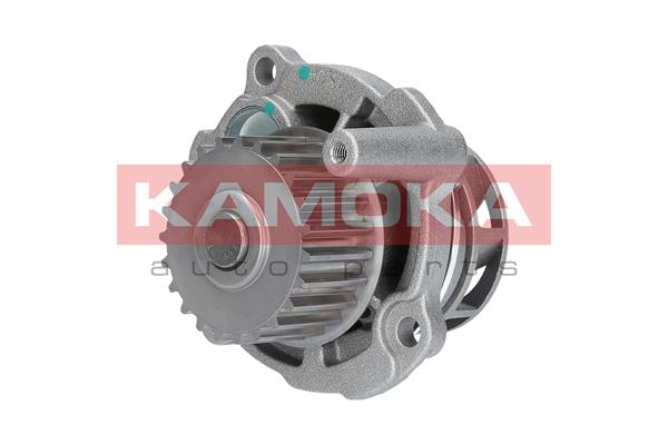 Pompa wody KAMOKA T0029