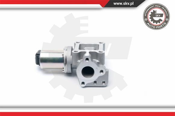 Zawór EGR ESEN SKV 14SKV099