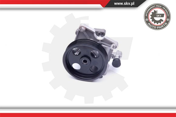 Pompa wspomagania ESEN SKV 10SKV273