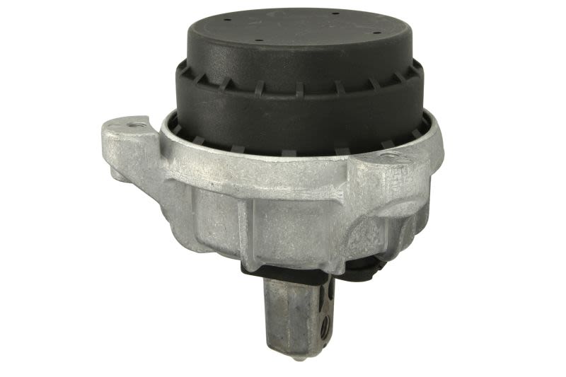 Poduszka silnika REINHOCH RH11-3048