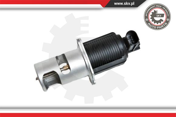 Zawór EGR ESEN SKV 14SKV032