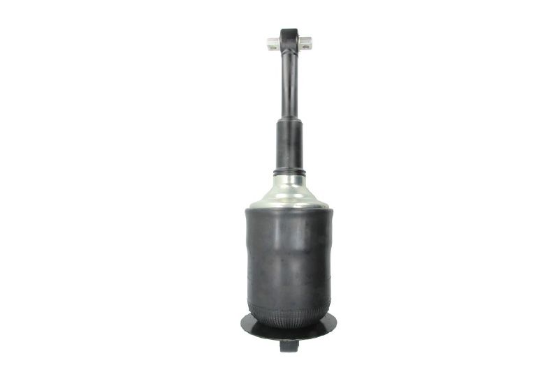 Amortyzator SACHS 317 325